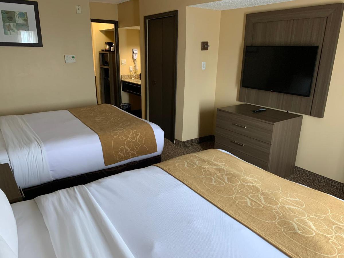 Comfort Suites Dfw Airport Ирвинг Экстерьер фото